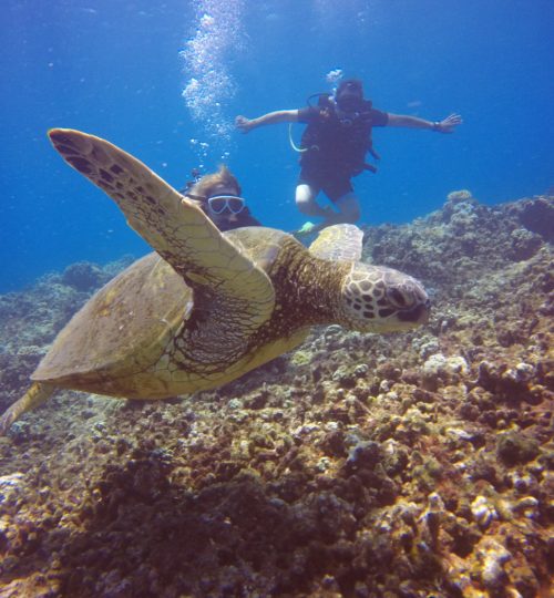 Scuba Diving